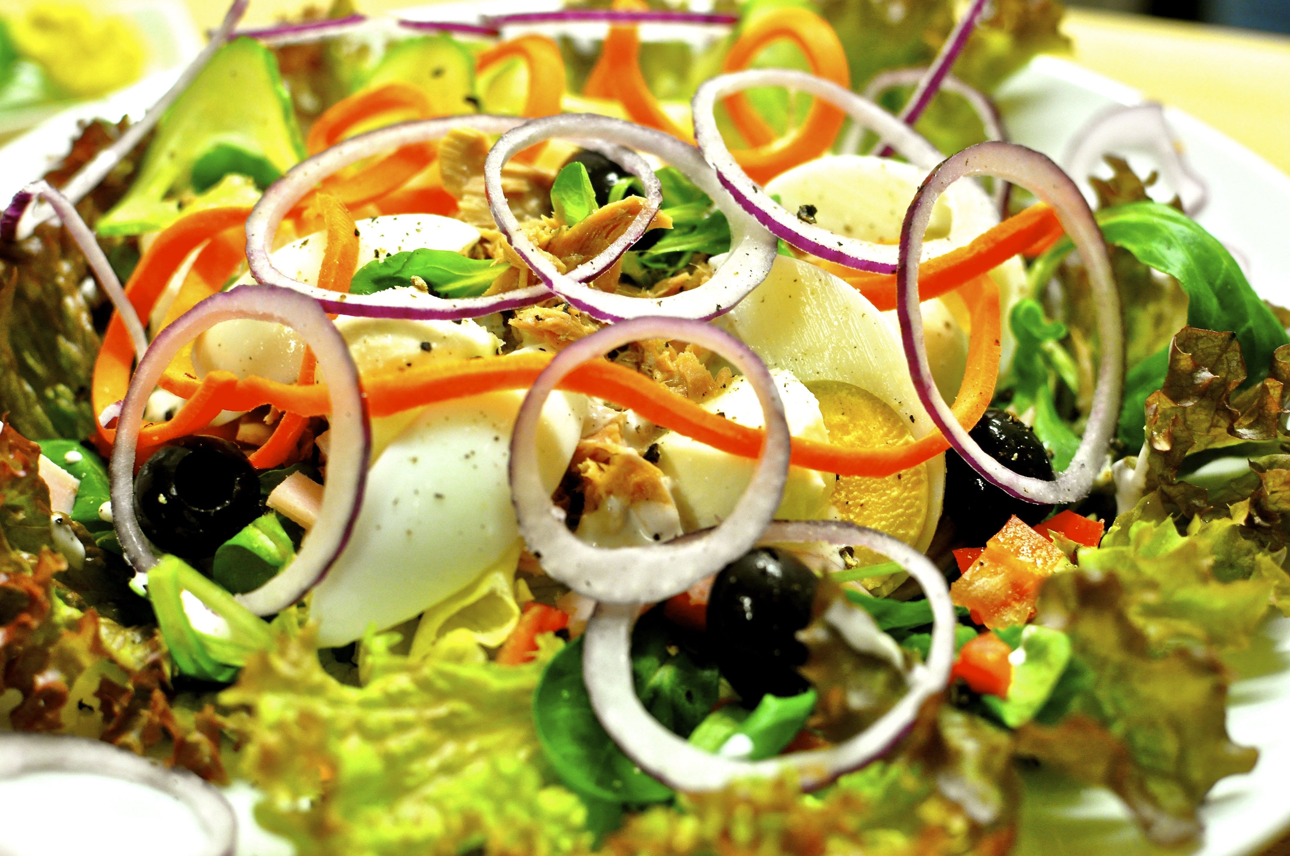 Без диет и жестких ограничений в еде — салат из тунца и творога: вкусно и некалорийно