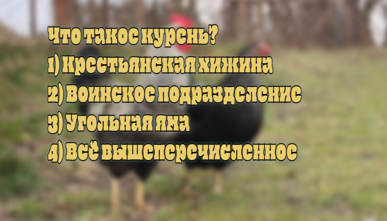 Что такое курень и с чем его едят: проверь себя и друзей — узнай ответ здесь
