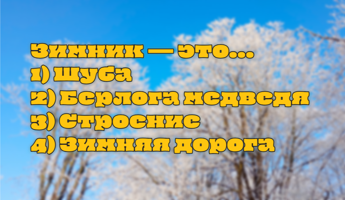 Проверка знаний: все россияне видели зимник — только 4% знают, что это такое