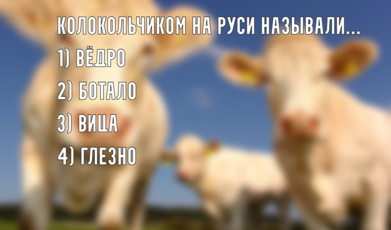 Только не потеряйся: знаешь ли ты — что такое колокольчик