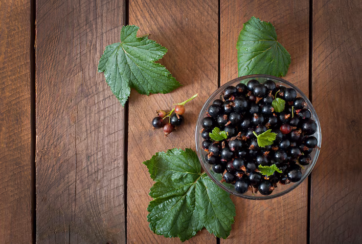 Смородину от тли защищаю самодельным отваром: всего одна обработка в неделю — дедовский метод