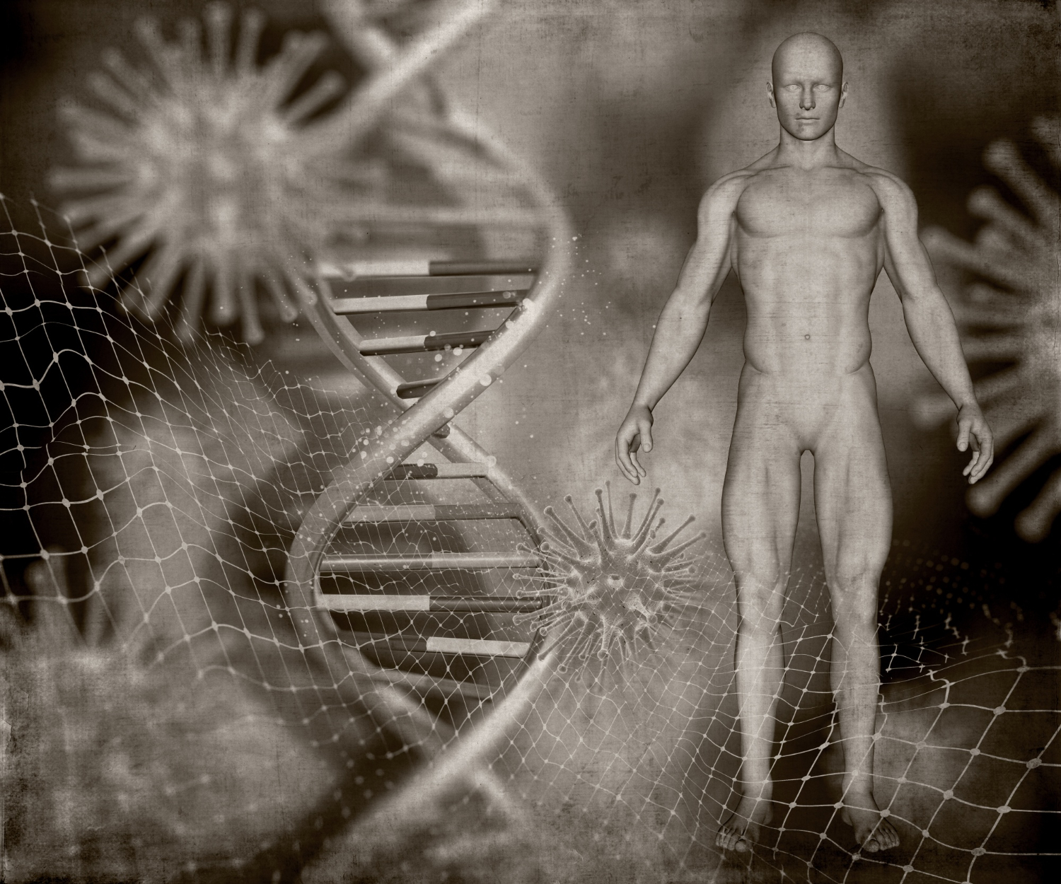 Человек разумный (Homo sapiens) — результат генетического смешения двух популяций приматов: новый взгляд на эволюцию человека