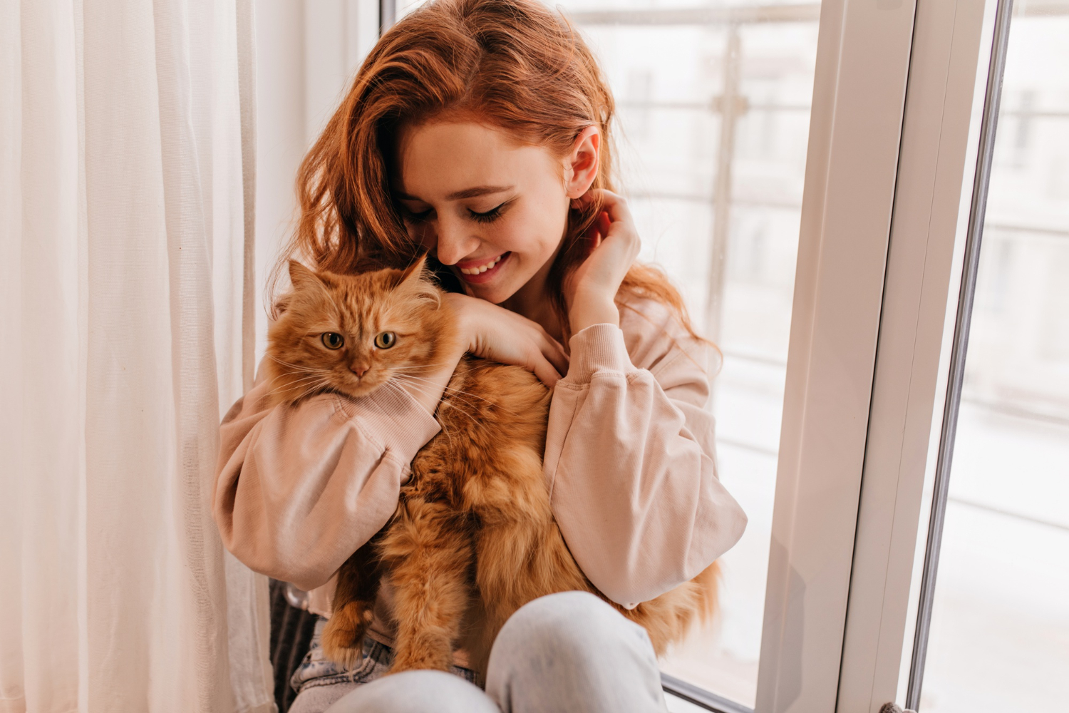 Почему кошку не стоит брать на руки: 4 причины — и что с ними делать