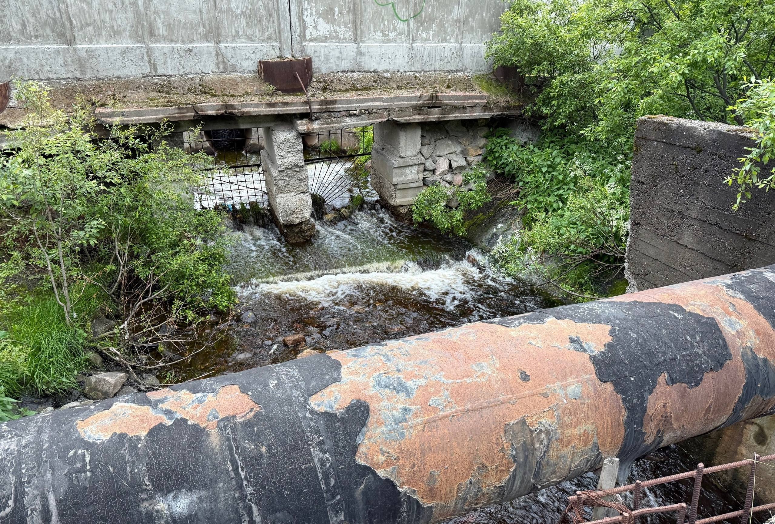 Соцсети: В Мурманске канализационные воды льются прямо в Фадеев ручей