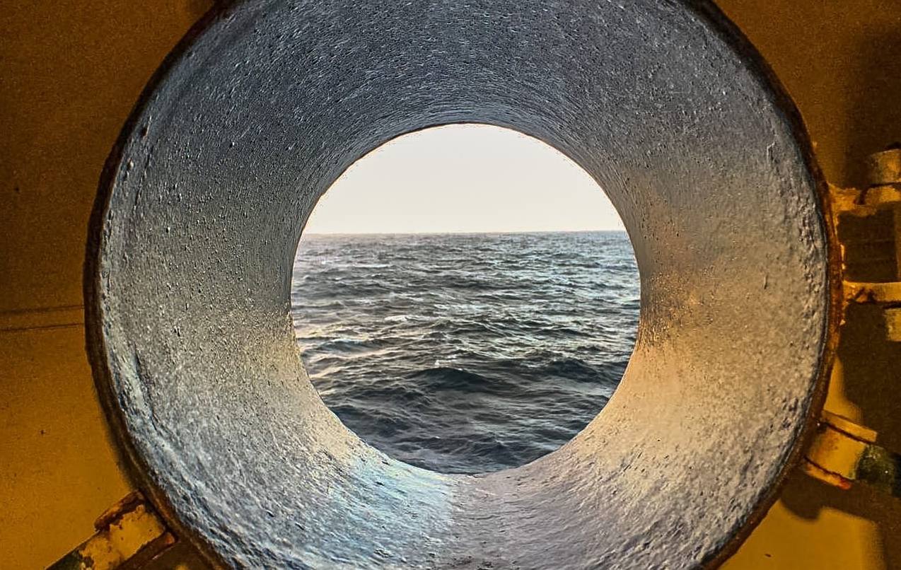 «Ученые играют»: мурманчанка расскажет об Арктике, сражаясь с морскими чудовищами в симуляторе выживания