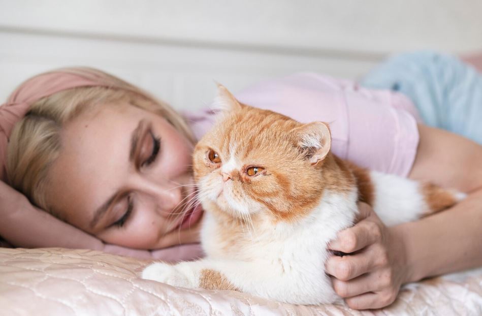 Кошка, которая не спит сама по себе: почему пушистик выбирает спать у головы или в ногах