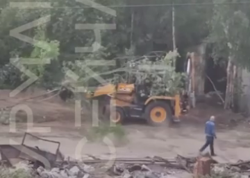 В Мурманске на Марата деревья вырубали незаконно