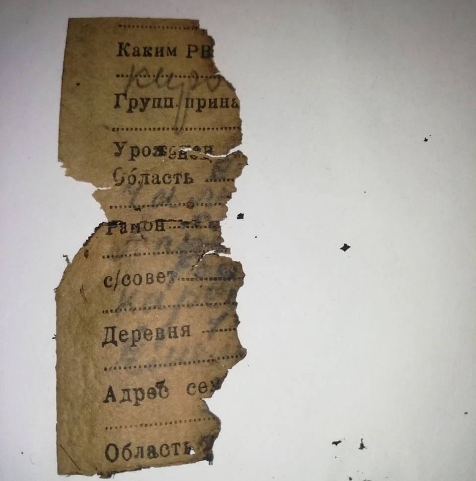 Мурманчане разыскивают родню бойца, погибшего в Карелии в 1941-м
