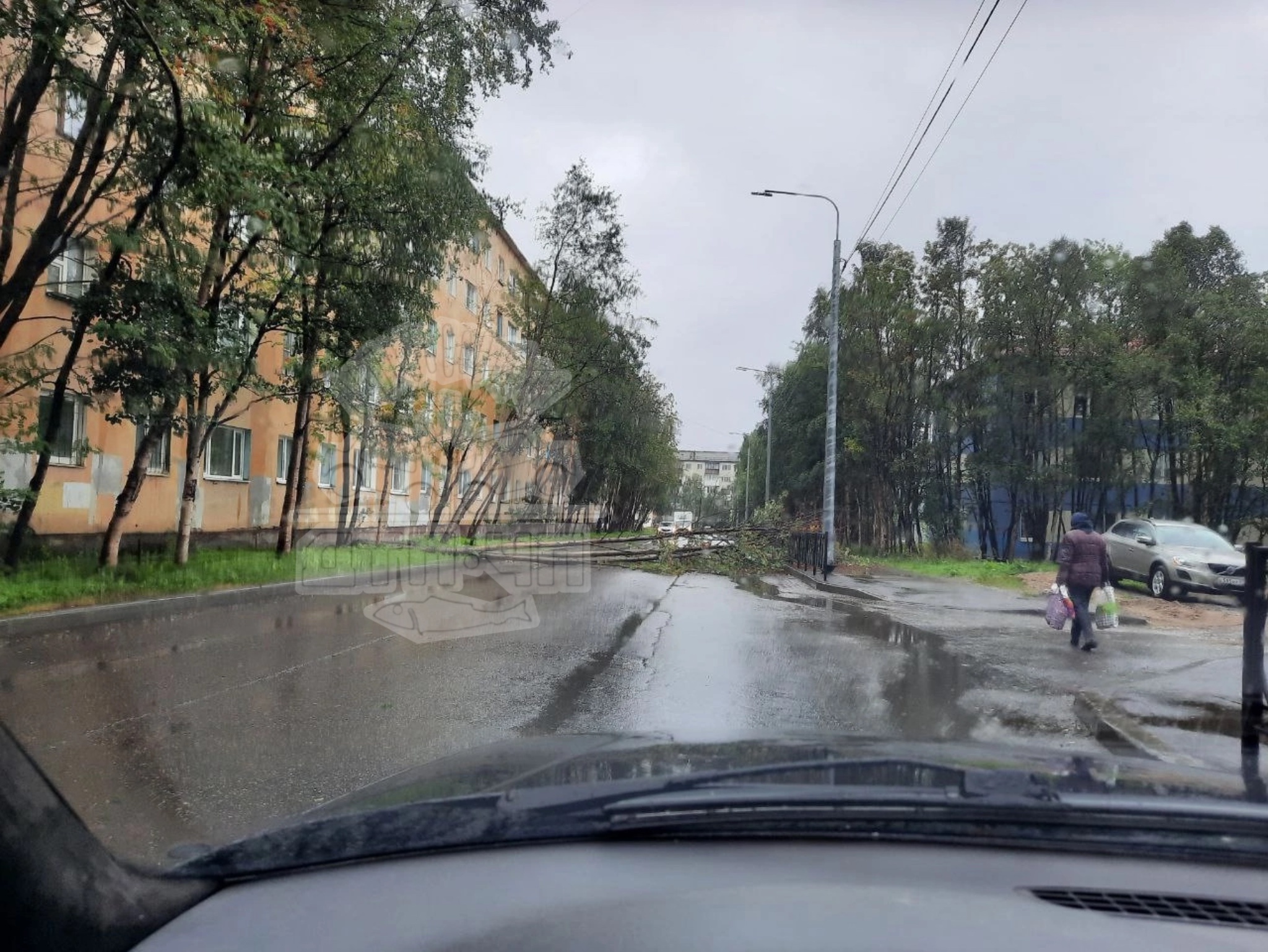 В Мурманске от сильного ветра падают деревья, заборы и дорожные знаки