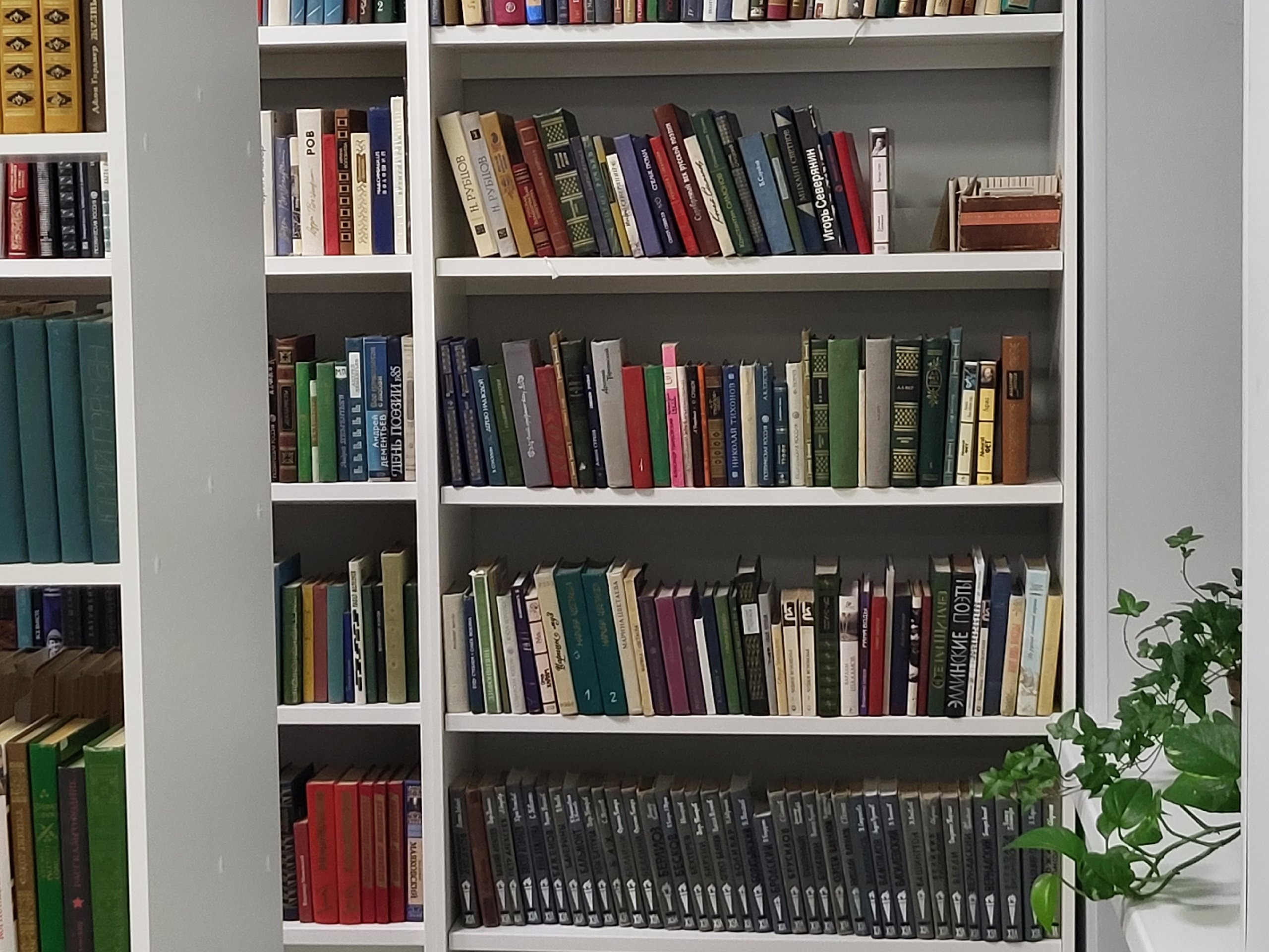 В библиотеках Заполярья 412 тыс. читателей – каждый берет домой по 12 книг в год