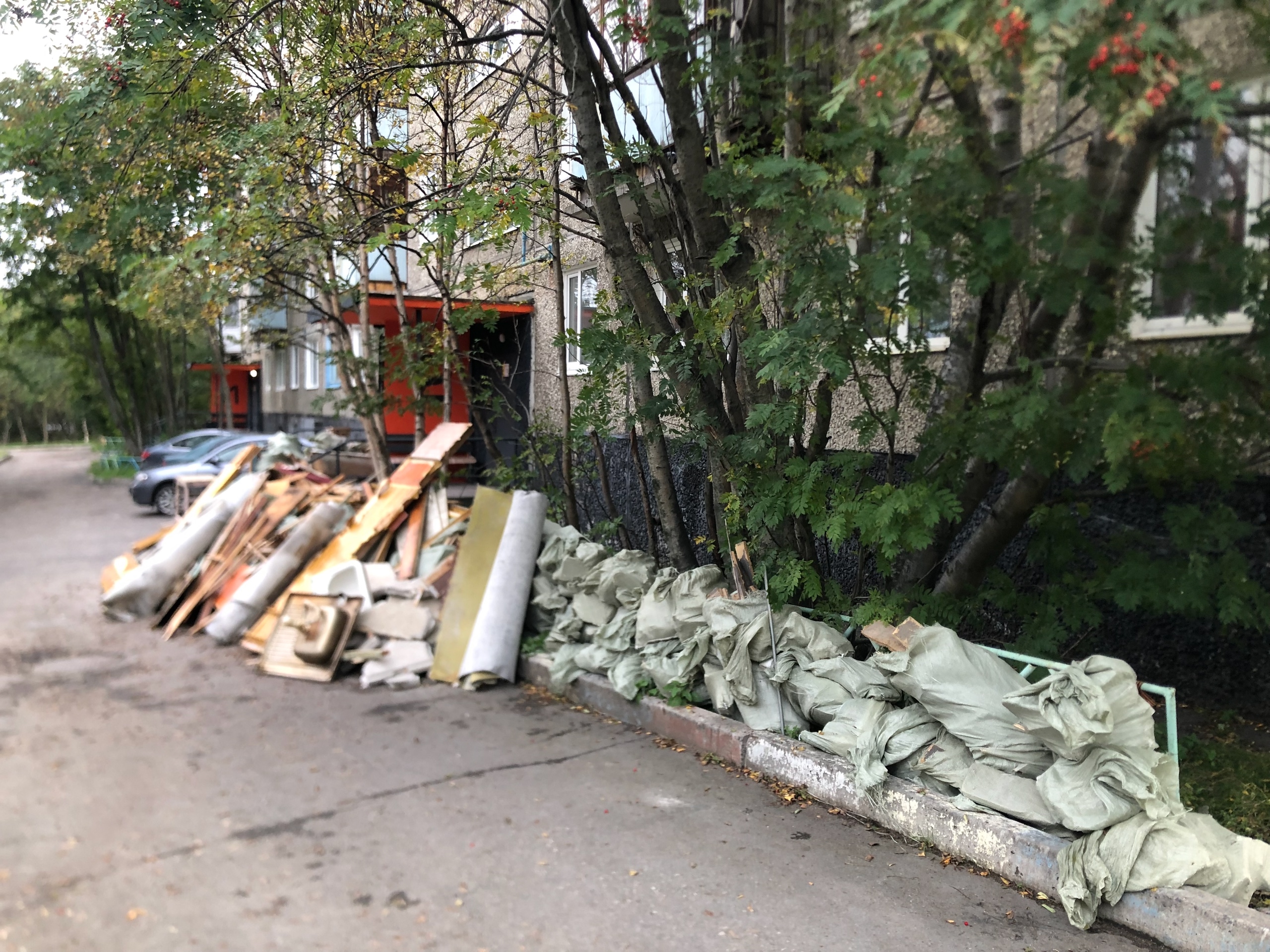 «Сломали кусты и захламили территорию»: мурманчан разгневали соседи, завалившие подход к дому мусором