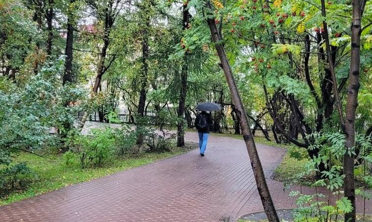 Мурманский врач: «Сердечные болезни обостряются при резких скачках температуры»