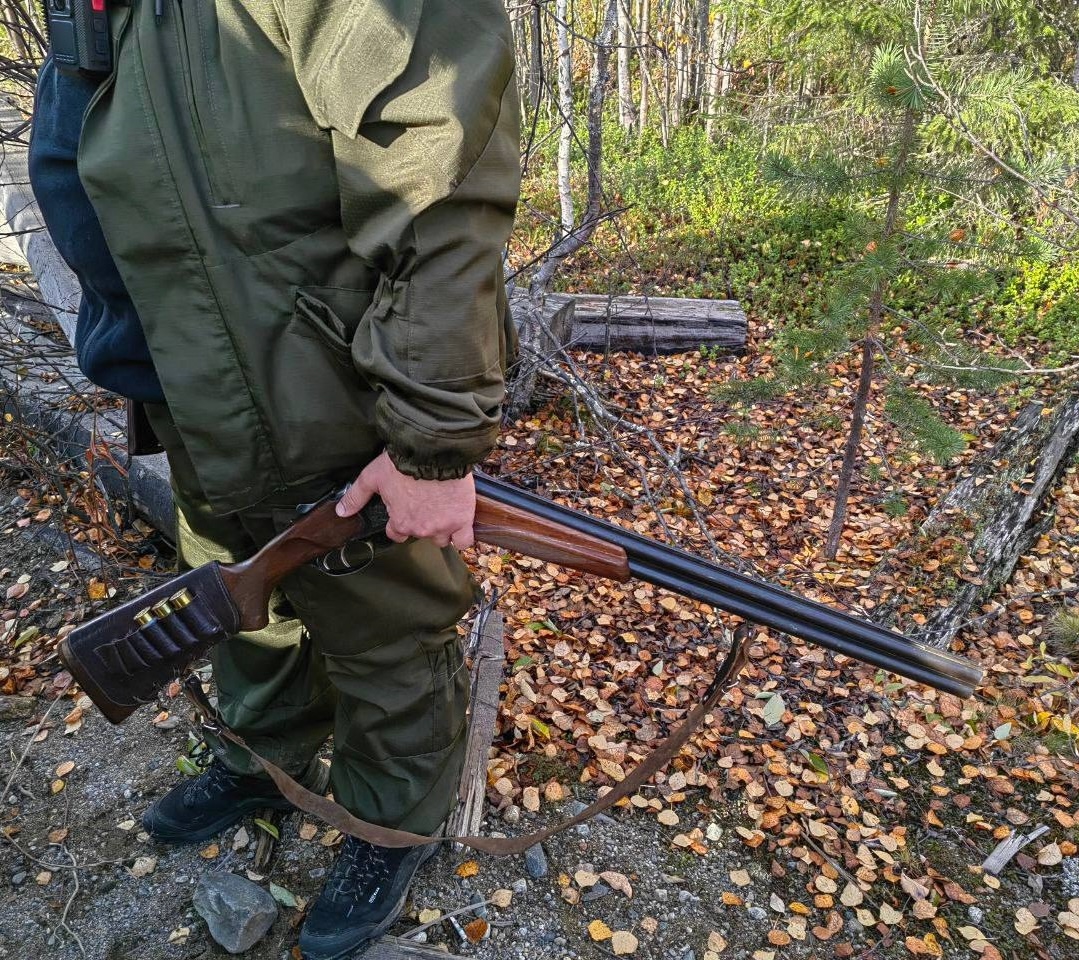 В Заполярье браконьеры убили 5 глухарок и 1 тетерева — нарушителей поймали