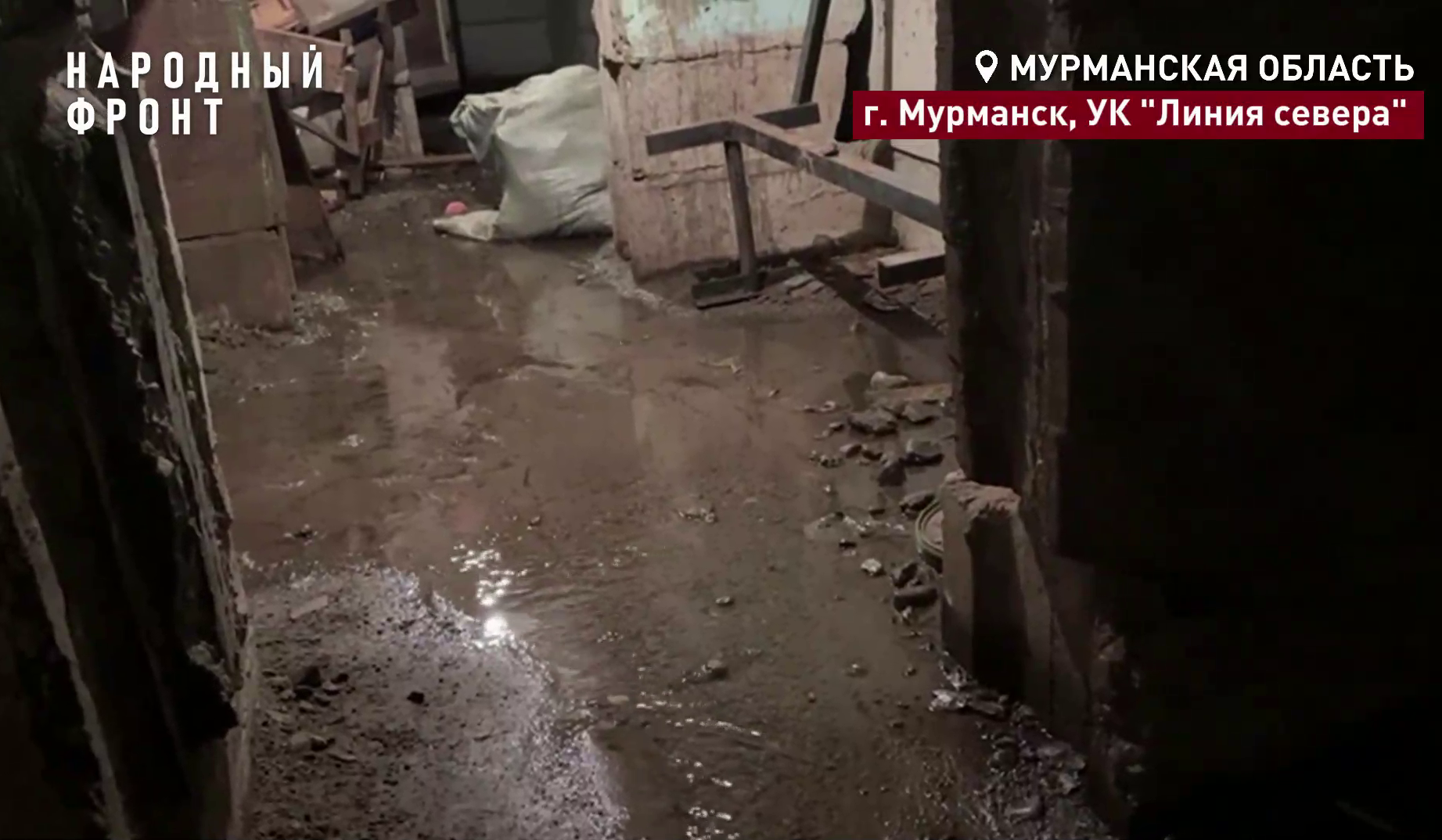 Мурманчане просят «осушить» коммунальную реку — подвал дома по ул. Карла Маркса заливает уже несколько лет