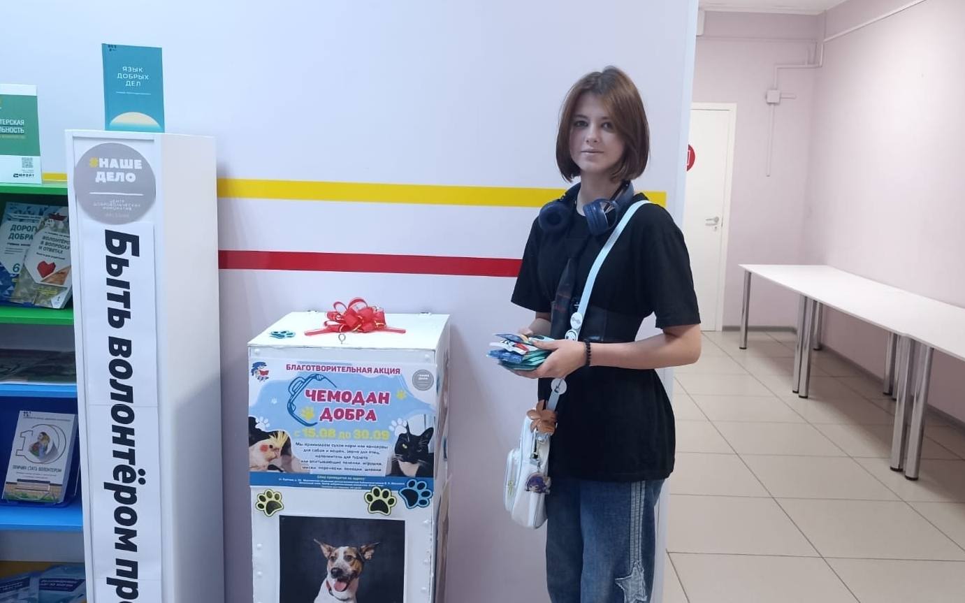 В детской библиотеке Мурманска собрали «Чемодан добра» для бездомных животных