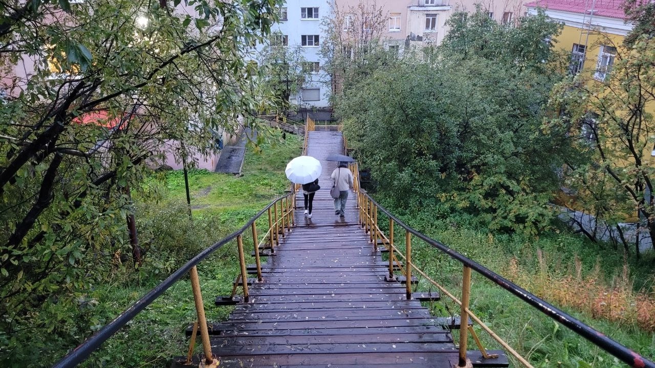 Климатические страдания и детство в Росте обсудят мурманчане на встрече в «Доме кино»
