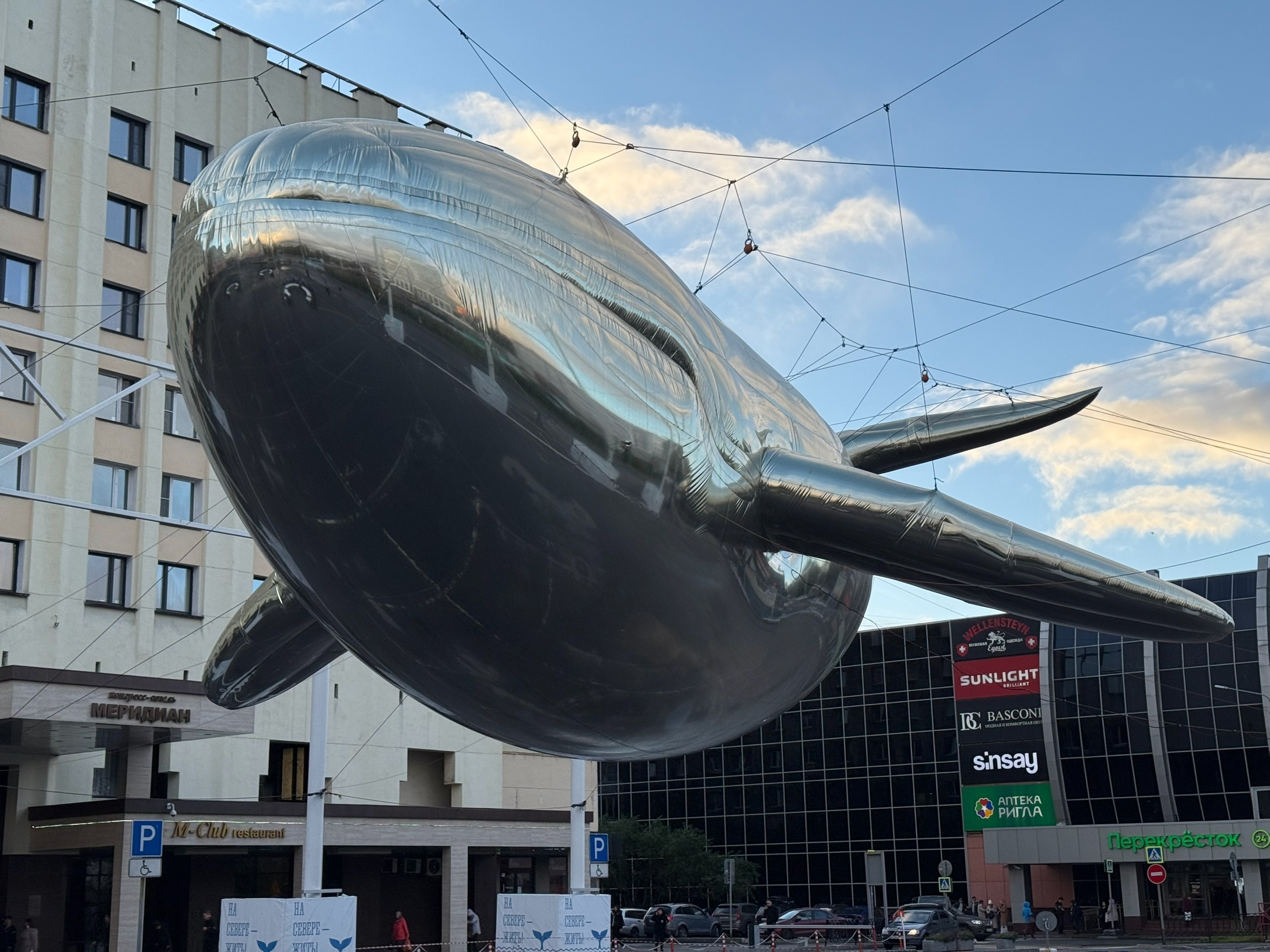 Надувной кит из центра Мурманска отправляется «на зимовку»