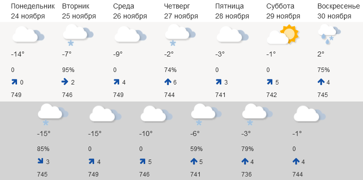 Мерзнуть осталось недолго: в Мурманске 27 ноября потеплеет до -2°, в выходные +2°