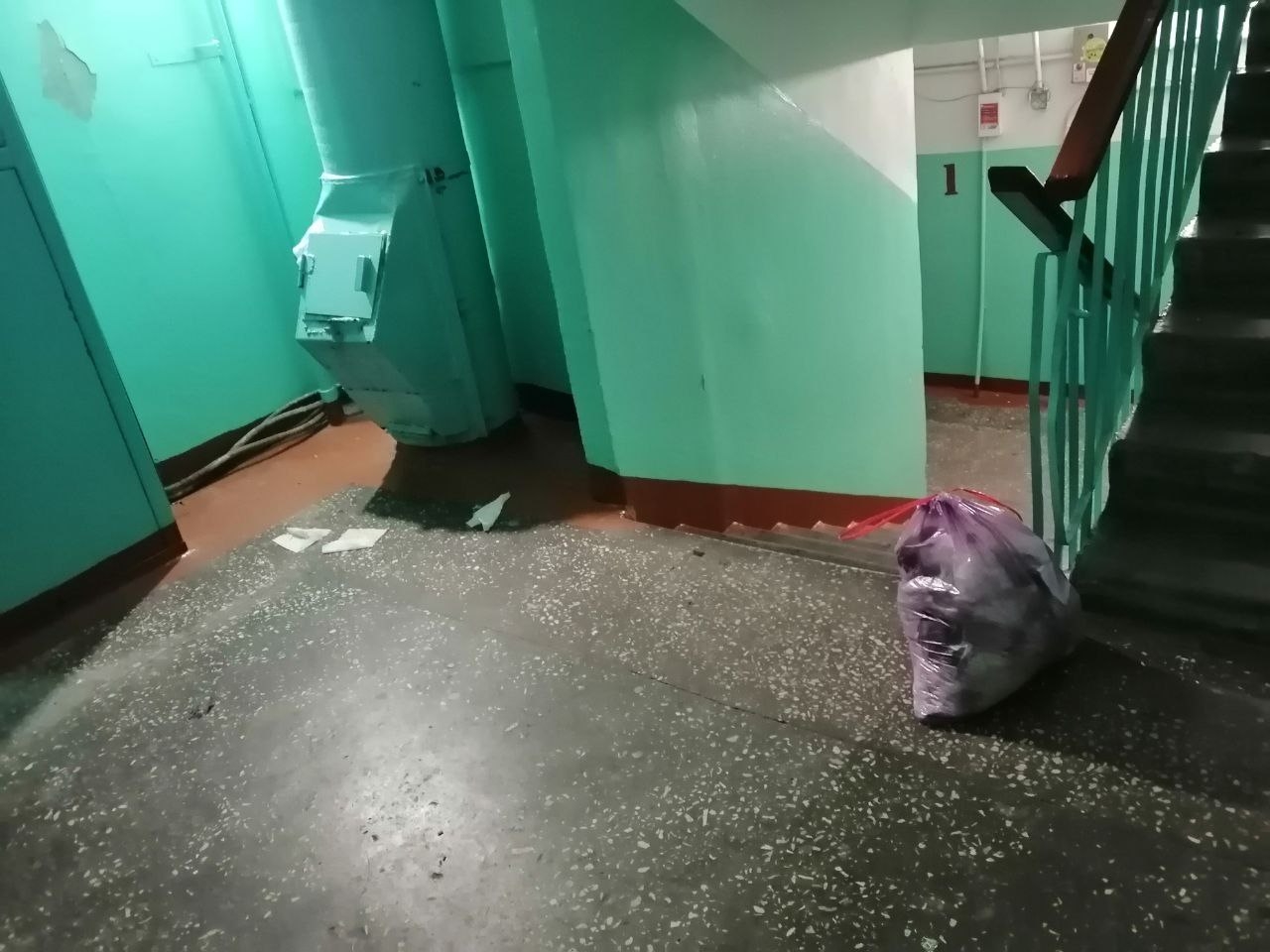 К кому теперь обращаться «Ваше высочество»: в Мурманске ищут владельца мусорного пакета, оставленного в подъезде