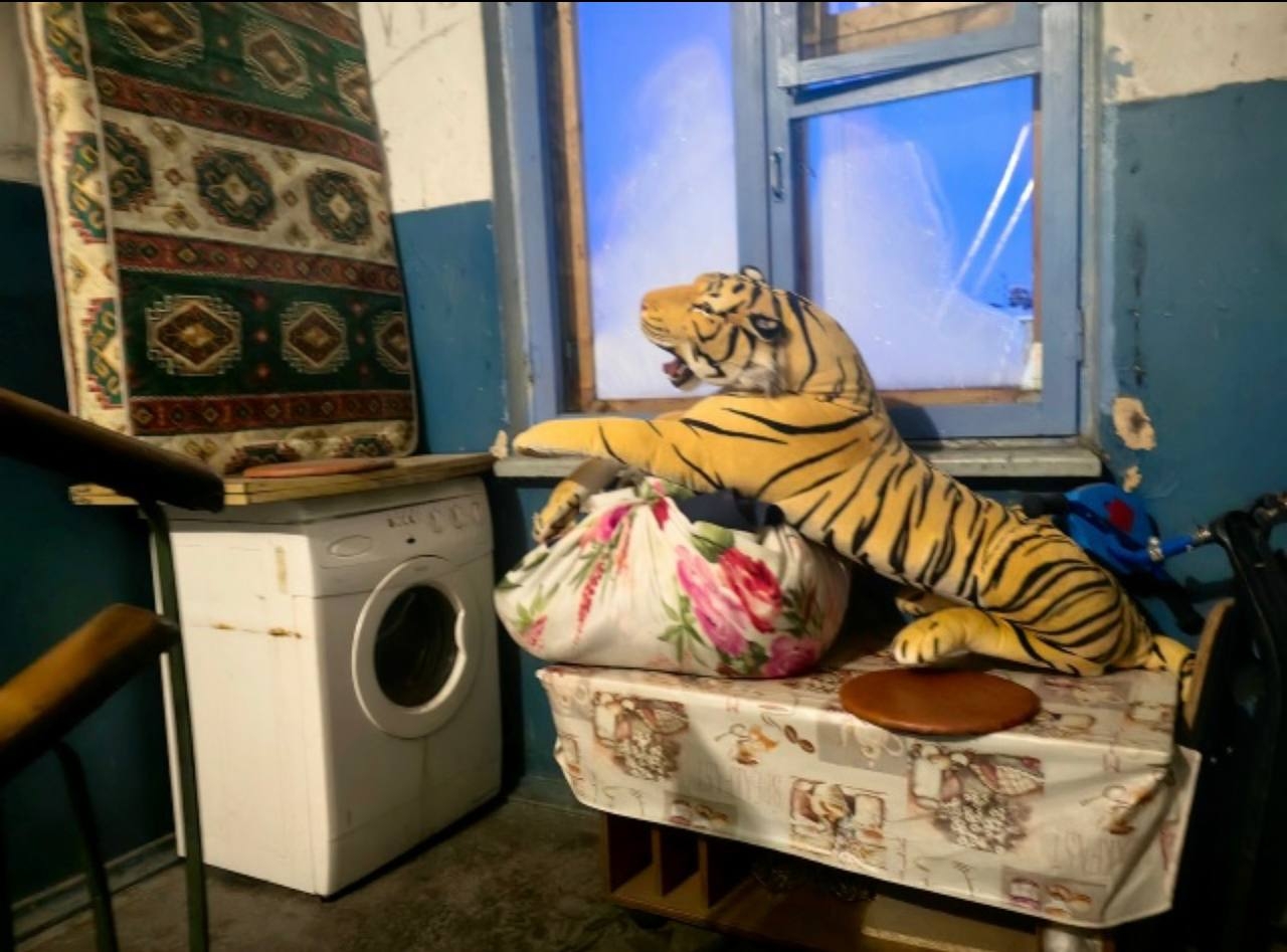 В подъезде мурманского дома завелся тигр