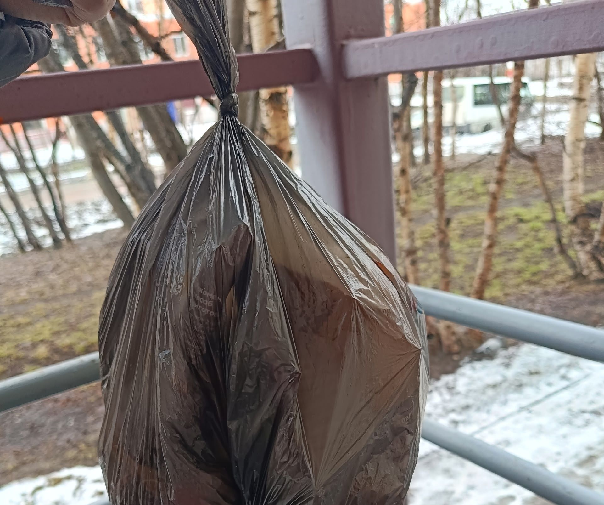 В Мурманске у входа в детскую библиотеку на Лобова неизвестный ежедневно бросает пакеты с мусором