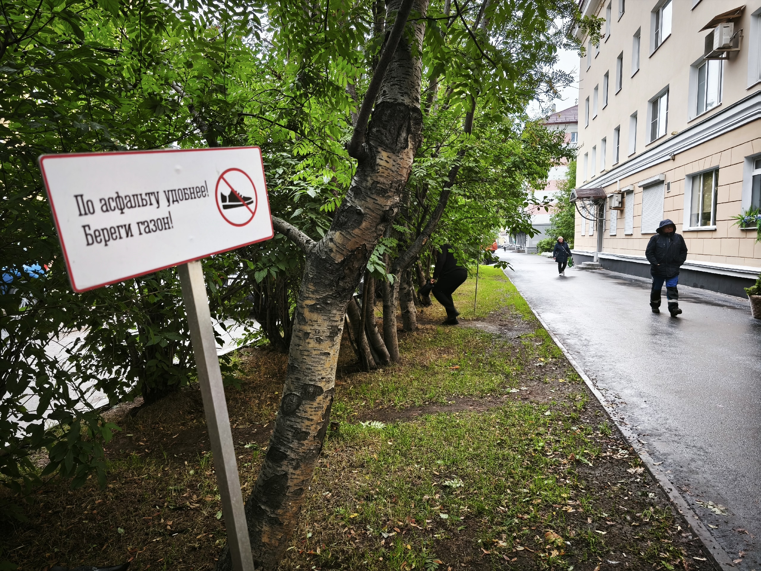 Пять кустов за одно дерево: мурманчане до 25 апреля решат, где в городе станет зеленее