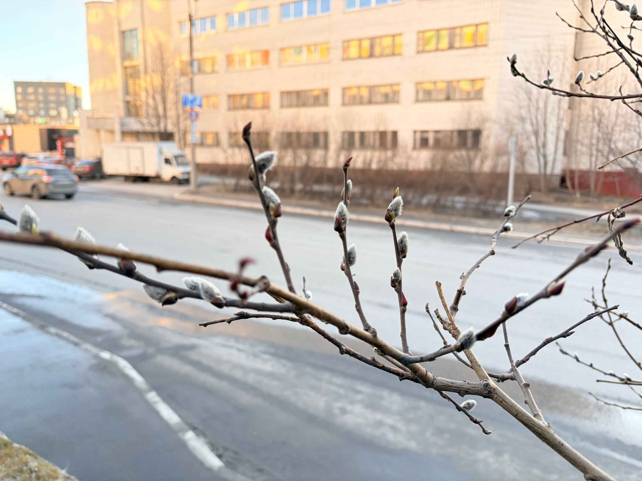 Погода как в мае: в Мурманской области ожидается новая волна температурных рекордов
