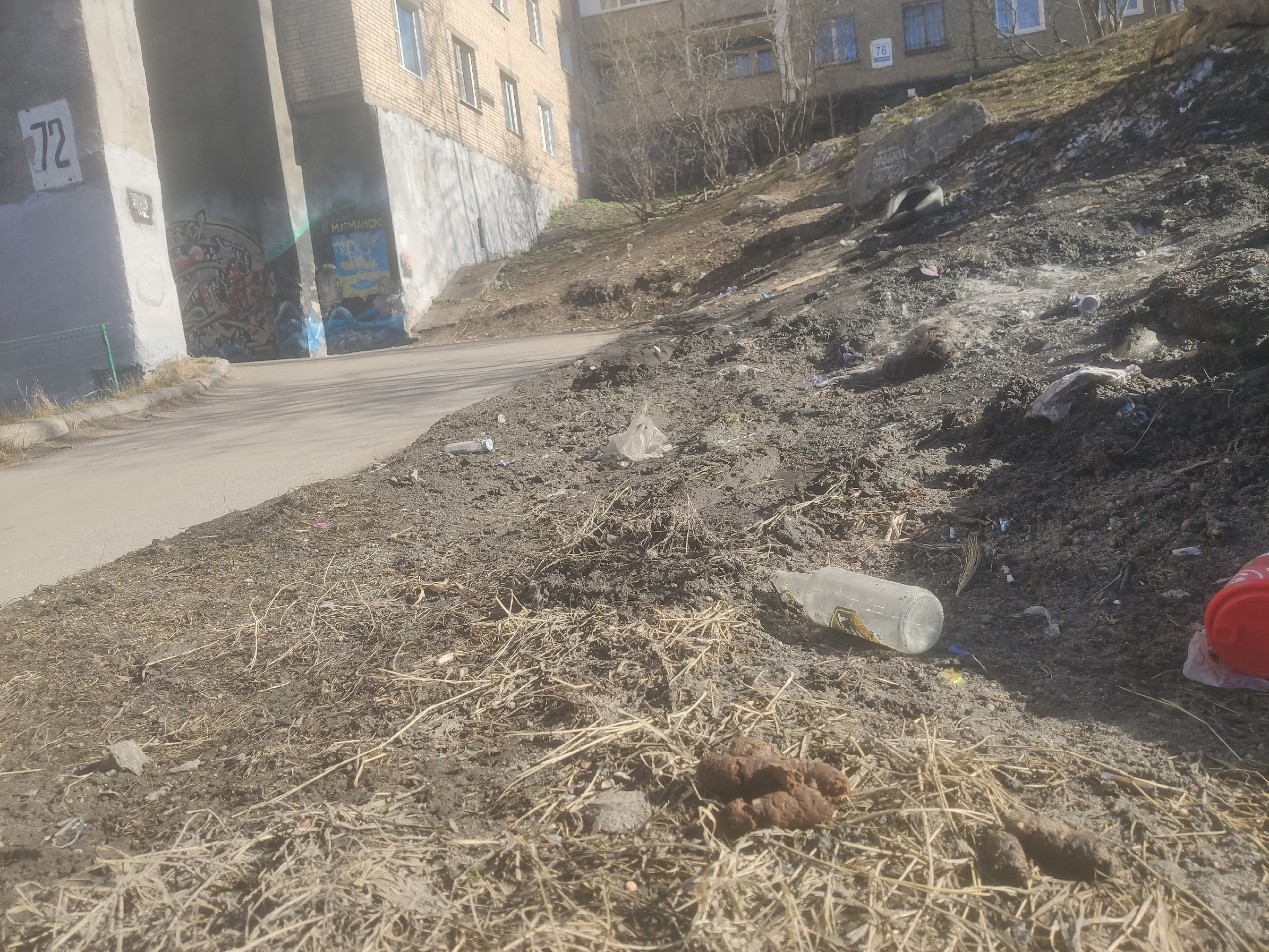 «Экскременты, бутылки, шины, мертвая кошка»: на Кольском проспекте мурманчане шокированы состоянием двора