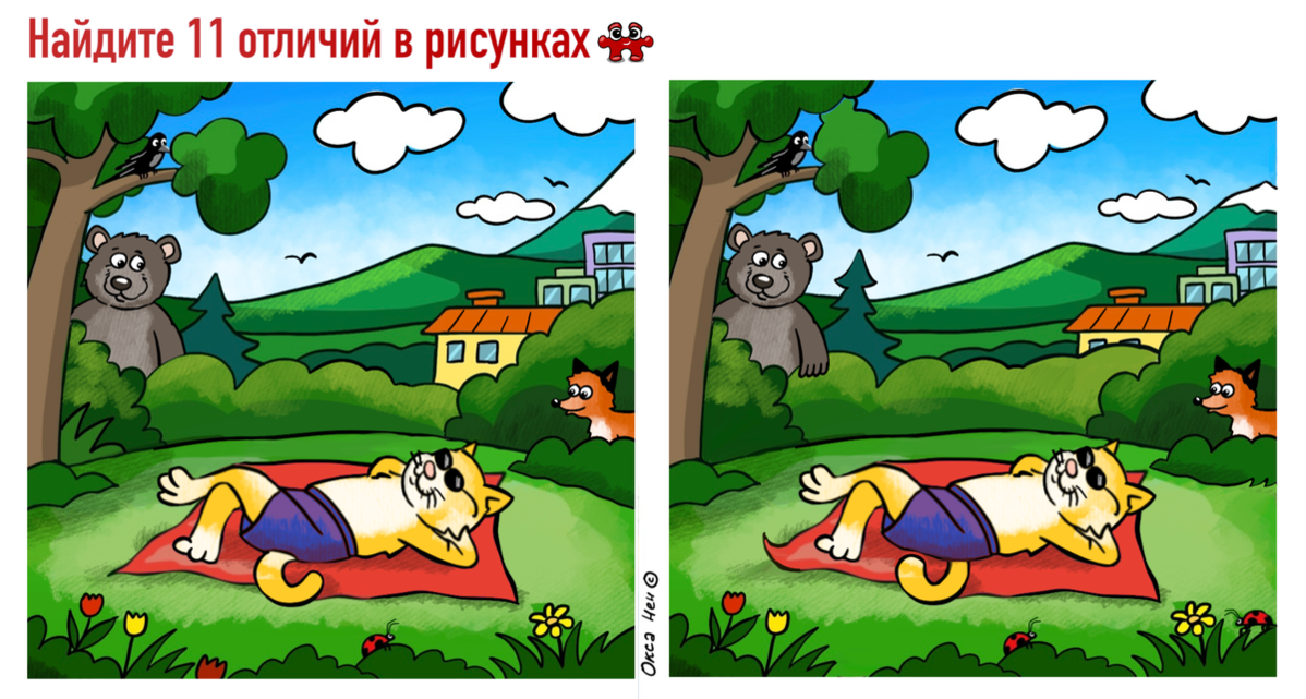 Пока Барсик спит и загорает, вы найдите 11 отличий — успеете до того, как он проснётся?