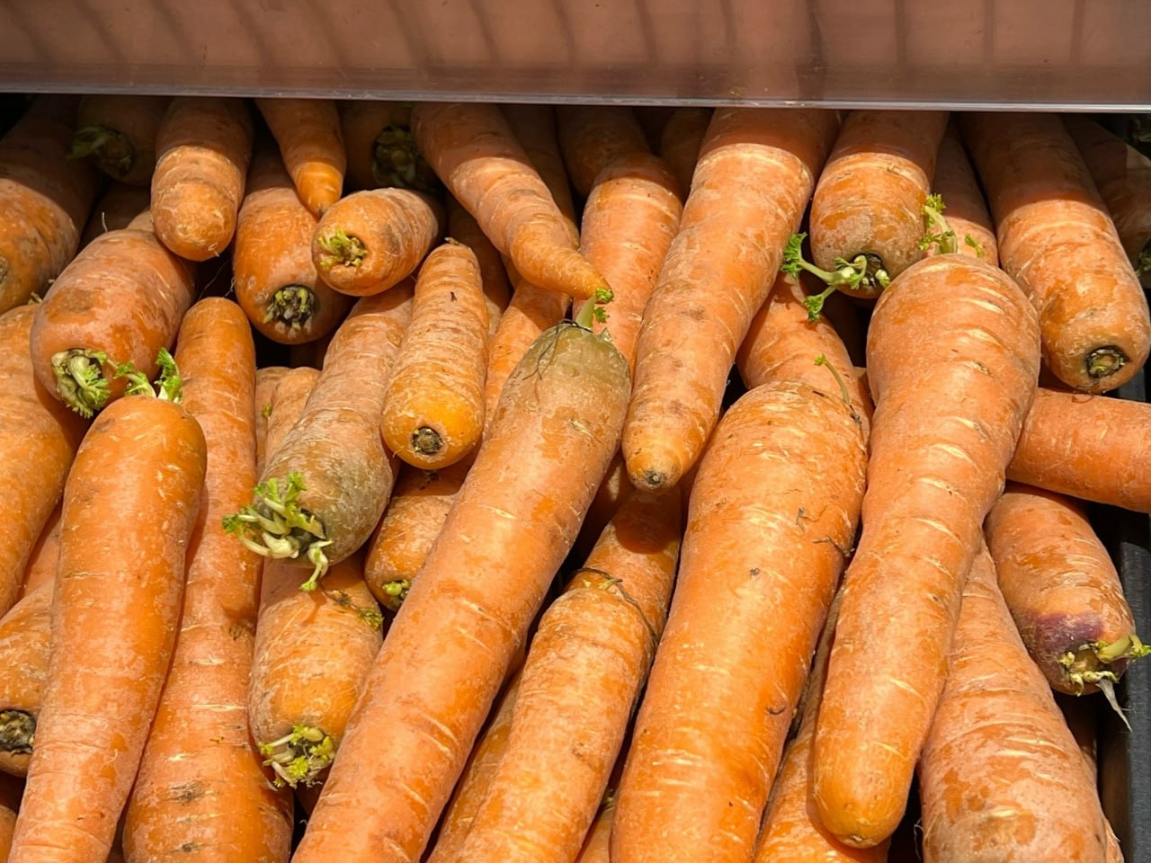 Овощное рагу с мясом: идеальное блюдо для правильного питания — сытное и нежирное, срочно запишите рецепт