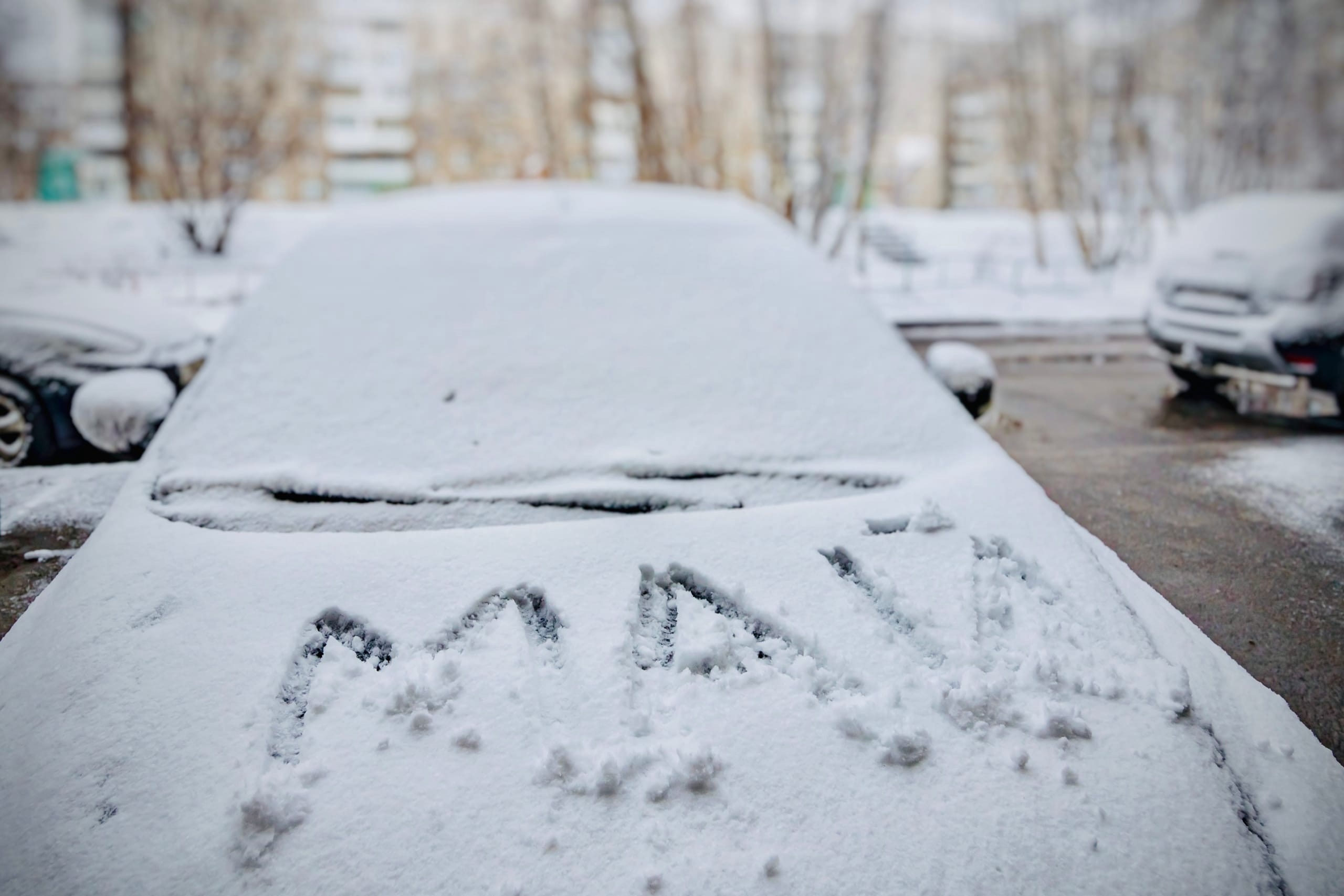 Майская зима: Мурманскую область накрыли интенсивные снегопады