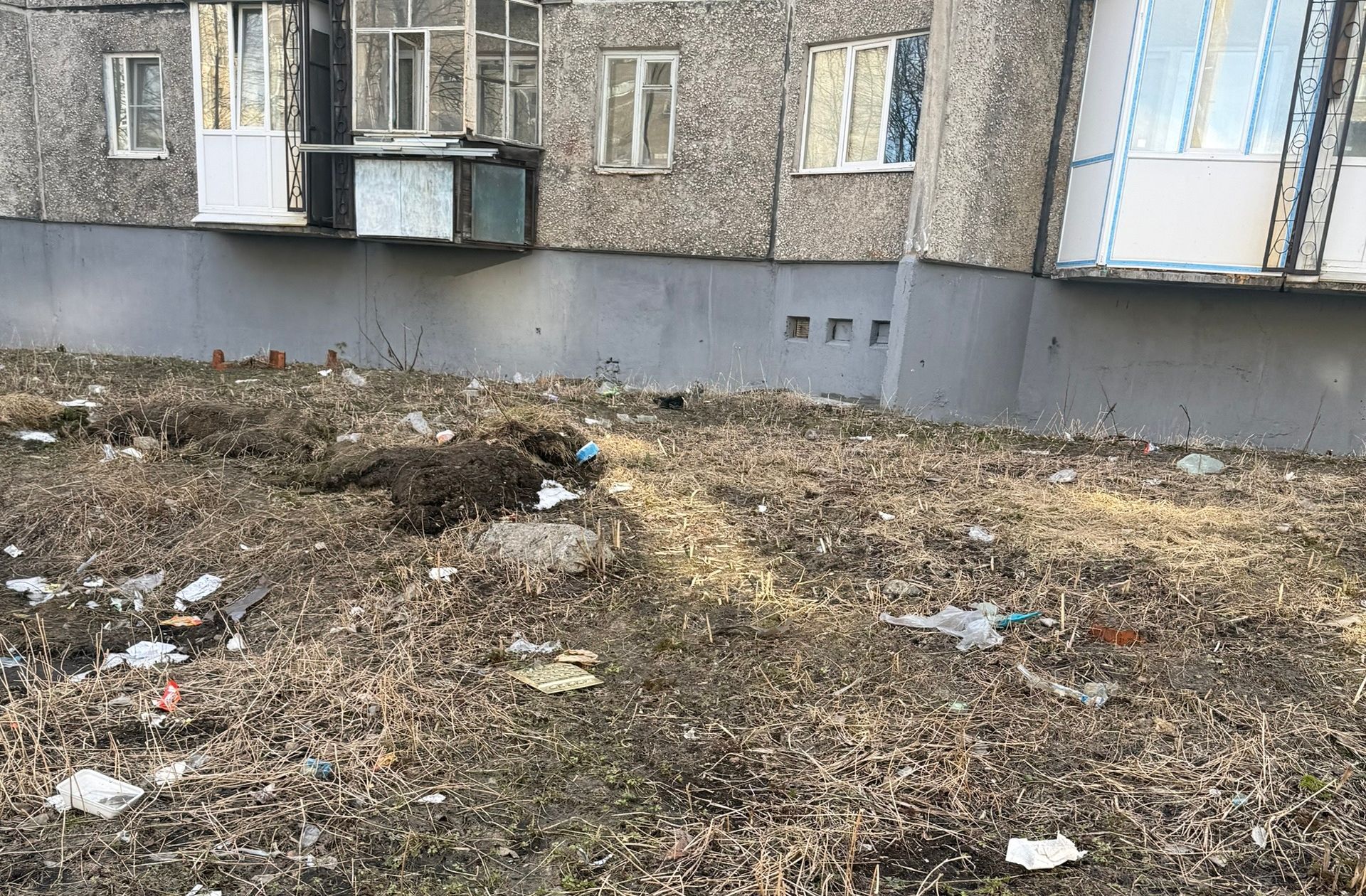 «Белый ковер» из окурков: в мурманском дворе на Ушакова жители устроили свалку под собственными окнами