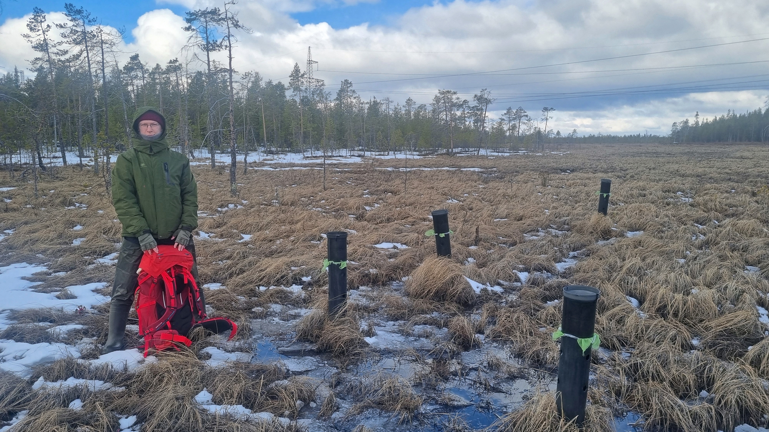 В лесах Мурманской области ученые установили ловушки для дождя