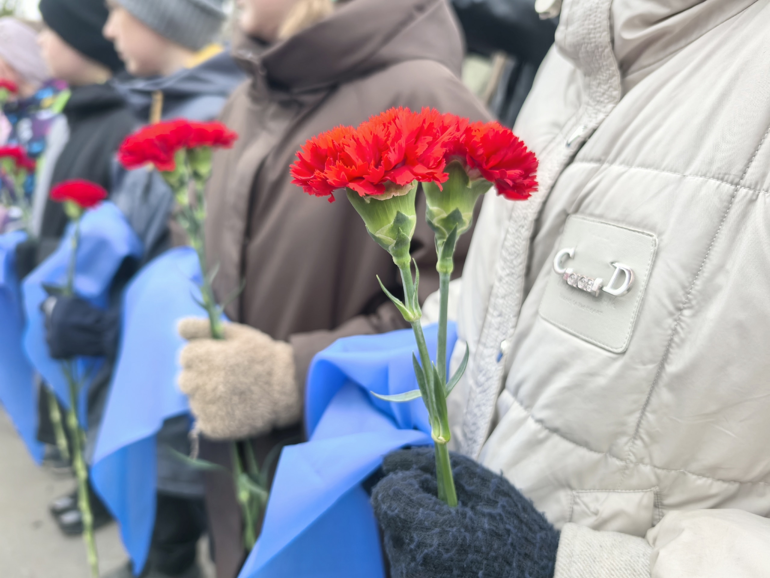 День Победы в Мурманске: ночные заморозки и долгожданное тепло днём