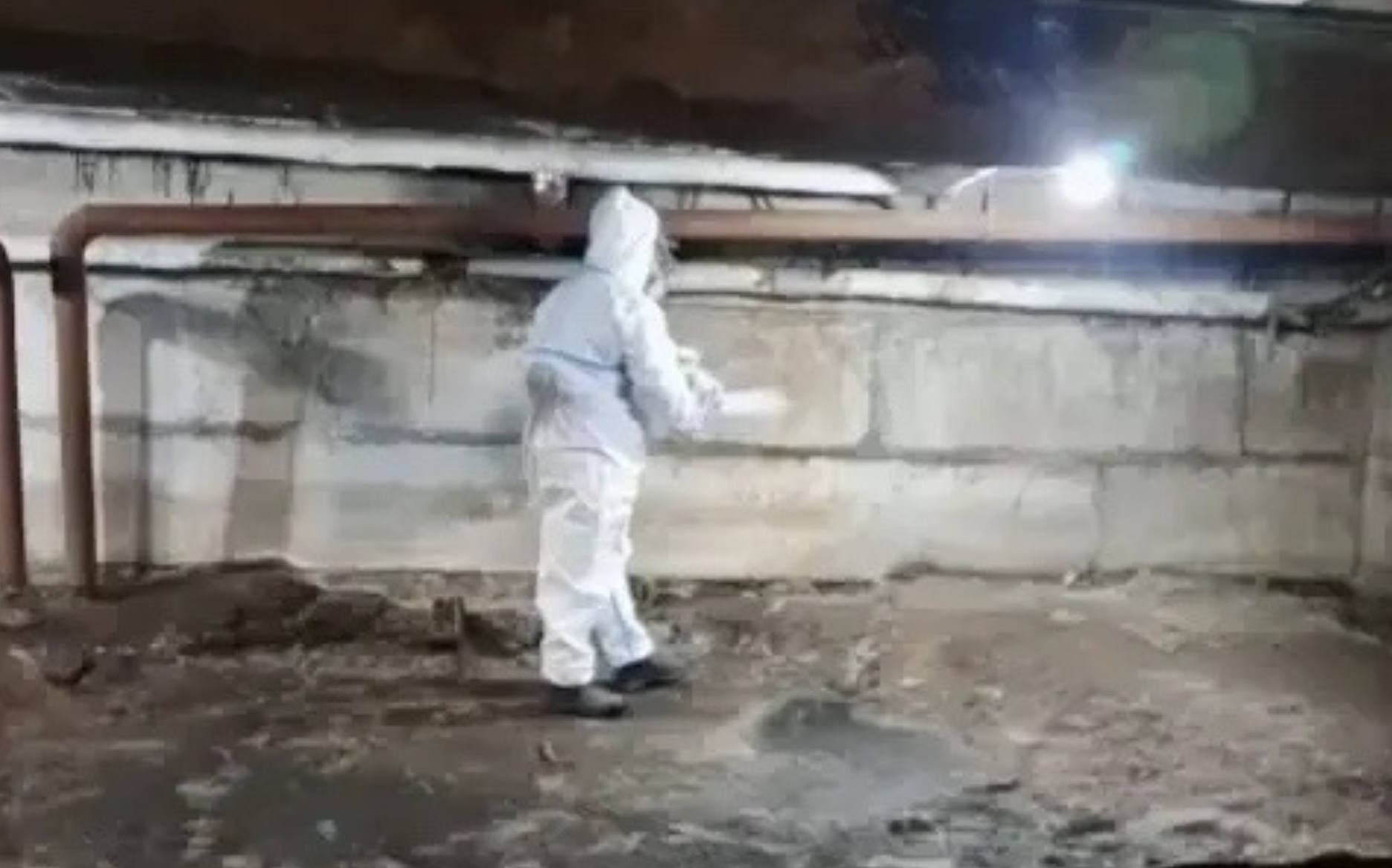 Весенняя «война» с грызунами: в Мурманске проводят тотальную обработку домов, магазинов и соцобъектов