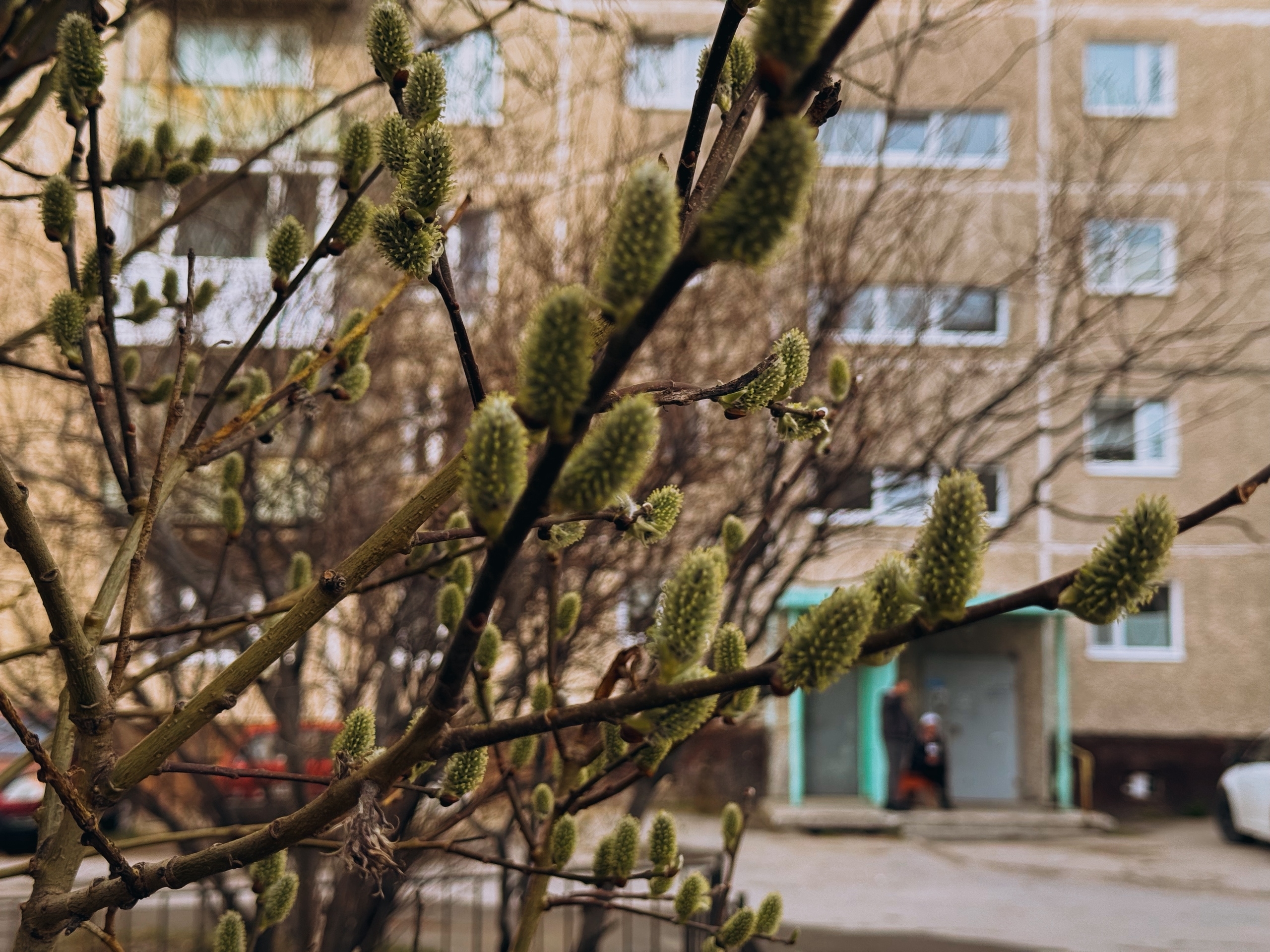 Лето на подходе: в Мурманске синоптики обещают до +20° в выходные 16 и 17 мая