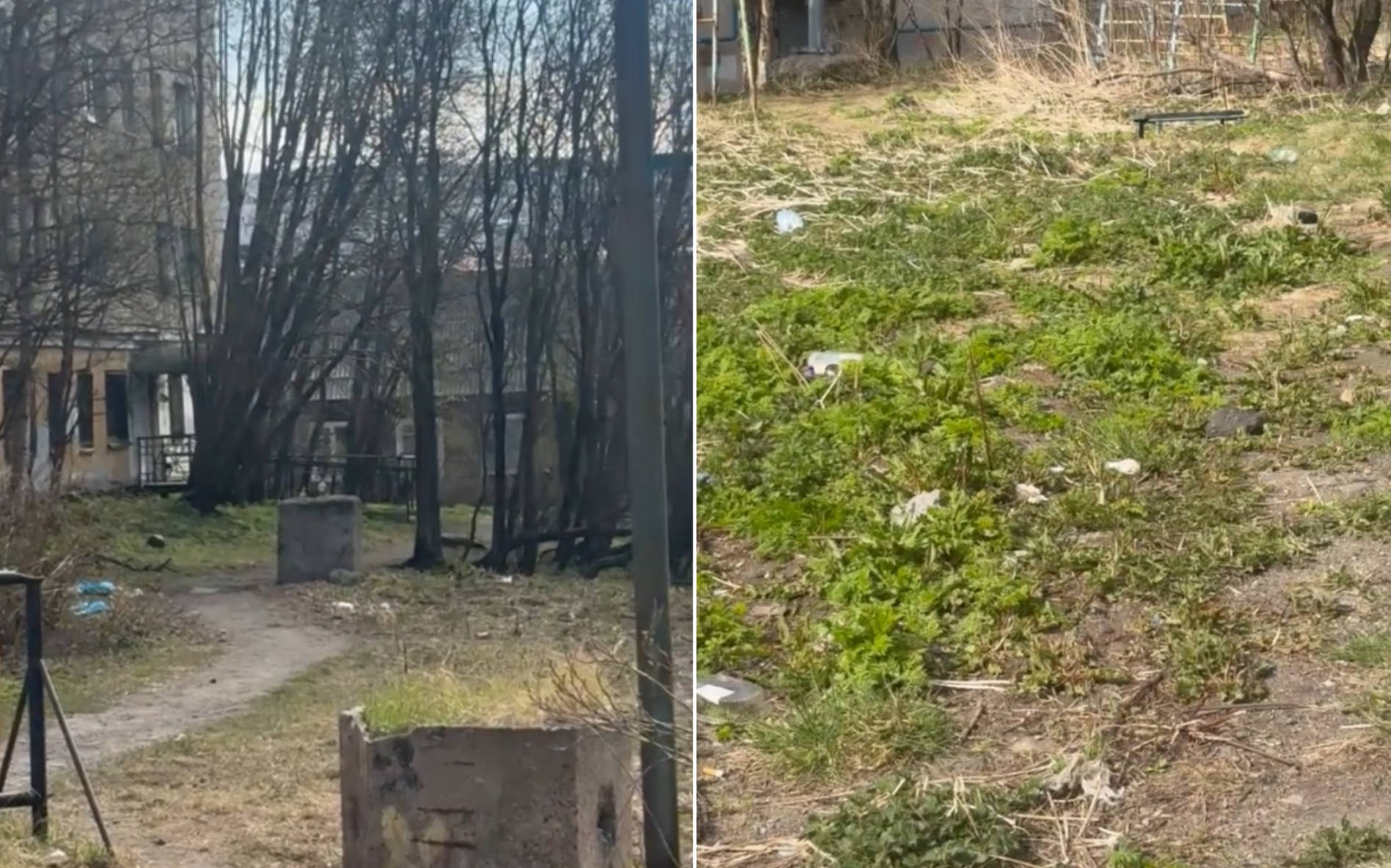 «Примите меры, повсюду мусор!»: бесхозную зеленую зону у домов на Буркова и Сомова в Мурманске очистят в мае