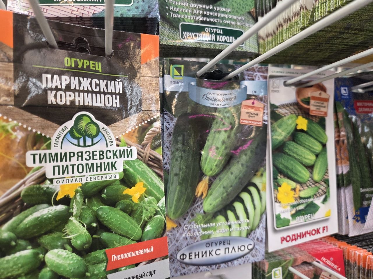 Мощный старт: что положить в лунку, чтобы получить большой урожай огурцов — соседка по даче дала дельный совет