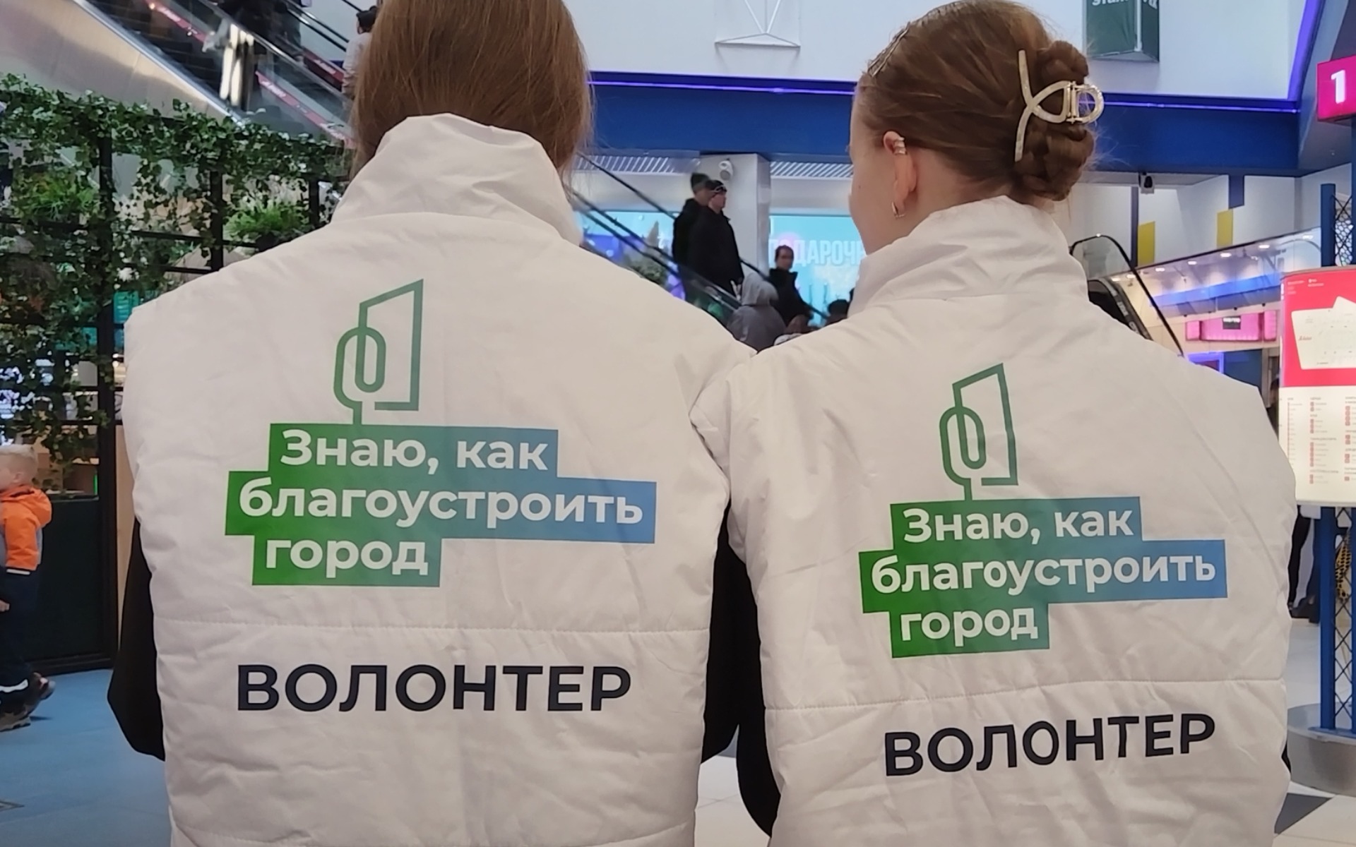 Голосовать помогают волонтеры: жителей Мурманска знакомят с проектами обновления городской среды