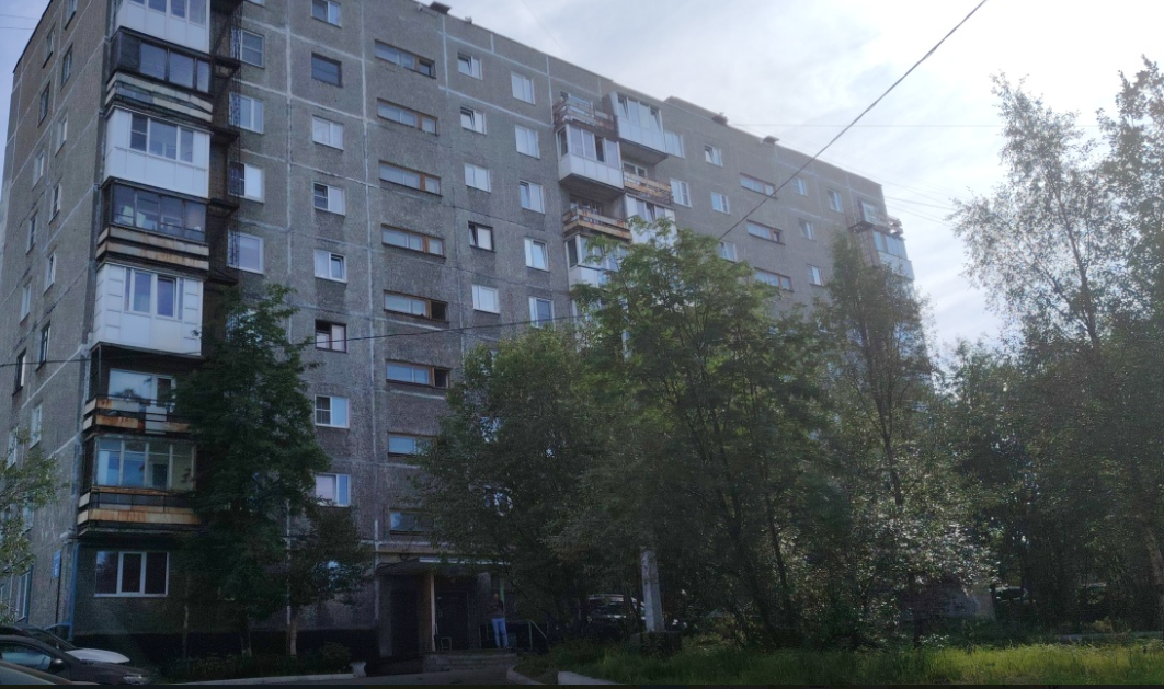 «Вчера споткнулась о крысу»: в Мурманске на Александрова дом сравнили с «контактным зоопарком»