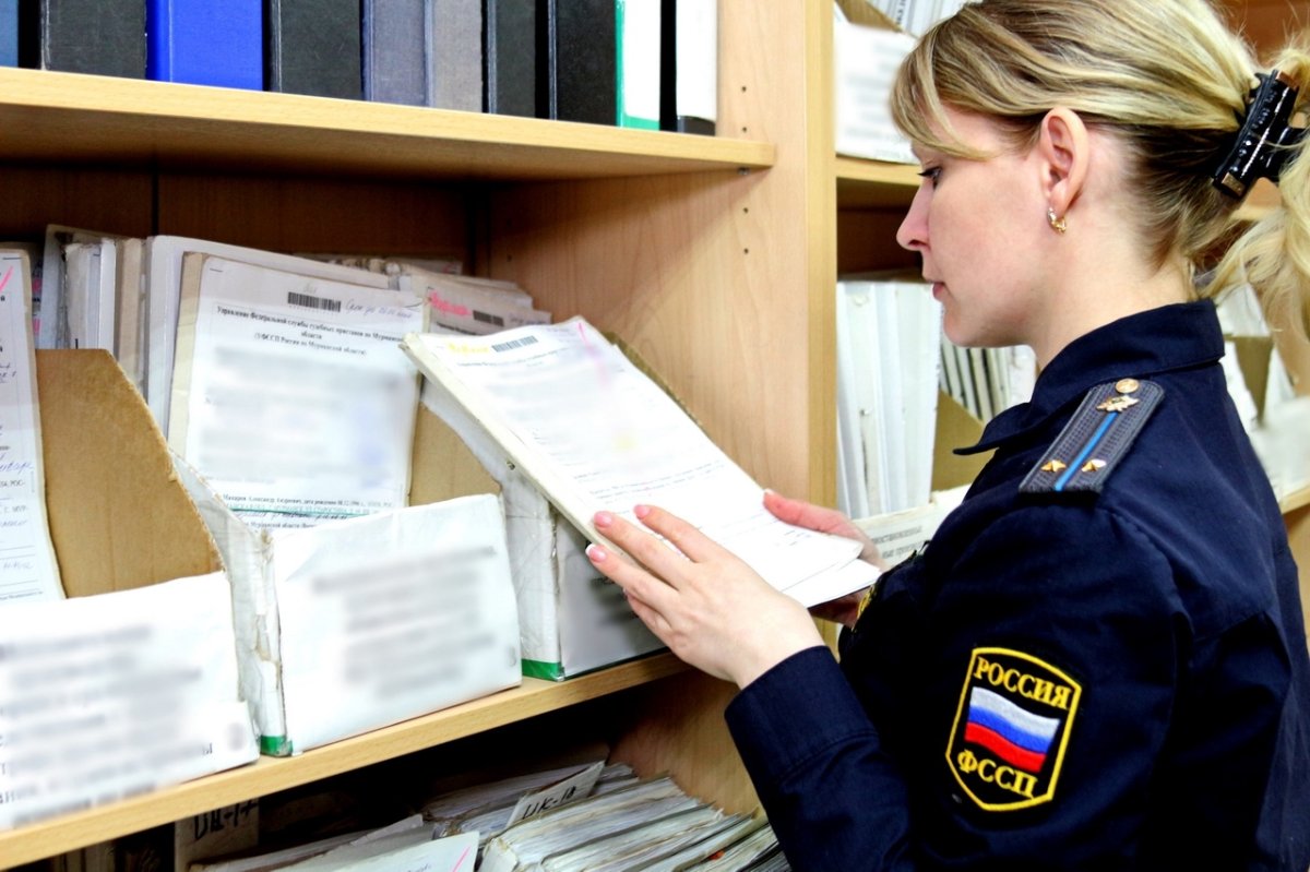 Проверка имущества напугала: мурманчанин выплатил 300 тысяч долга бывшему партнеру по бизнесу