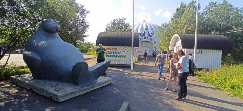 Огромный тюлень на улице встречает гостей океанариума Мурманска