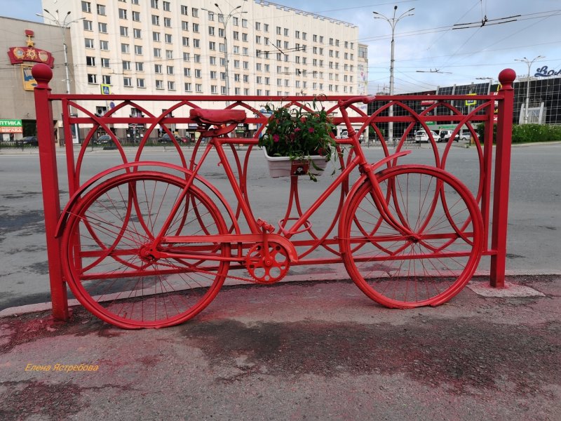 Решают судьбу "Красного велосипеда" жители Мурманска