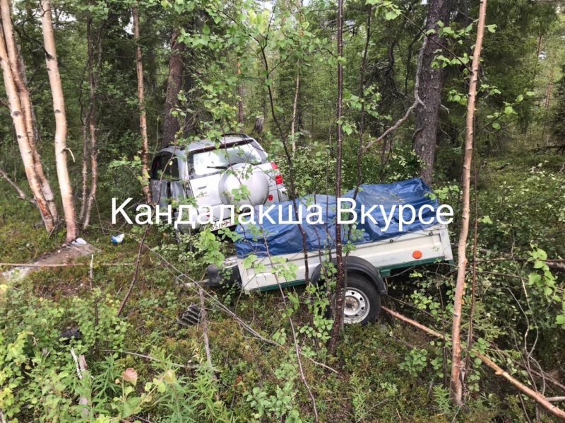 Врезалась в дерево машина с прицепом на трассе Кандалакша - Умба