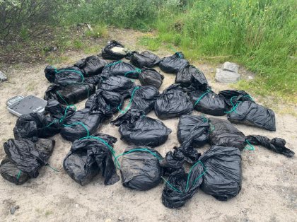 119 брикетов с мясом краба "поймали" сотрудники ФСБ на трассе «Кола» 119 брикетов с мясом краба "поймали" сотрудники ФСБ на трассе «Кола»