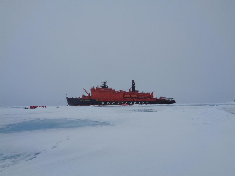 Круизы на Северный полюс снова открыли в нацпарке «Русская Арктика»