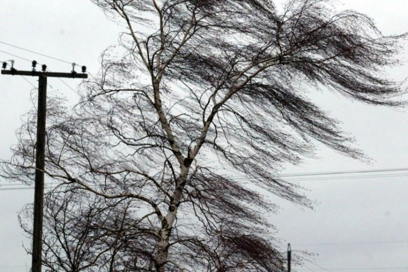 Режим повышенной готовности из-за сильного ветра объявили энергетики в Мурманской области