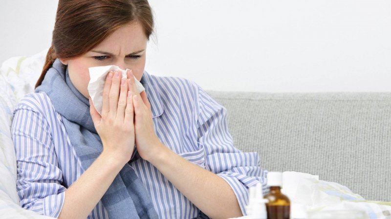 Первые 9 случаев гриппа выявили в Мурманской области