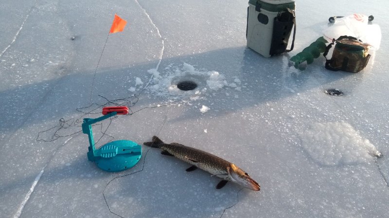 Открыли сезон зимней рыбалки, несмотря на тонкий лед в Мурманской области