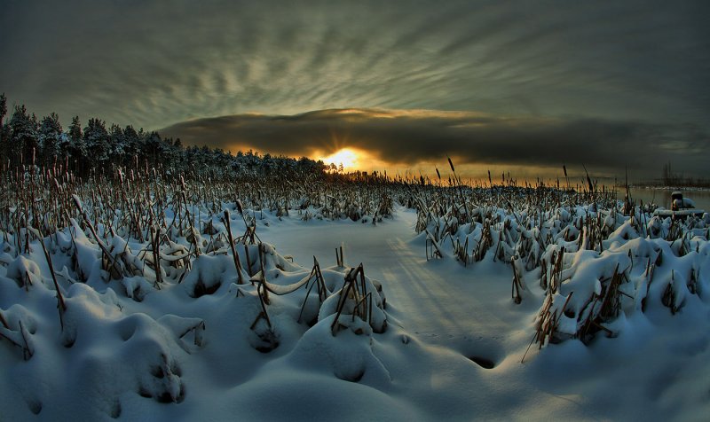 Сильный ветер, снег и -18° - прогноз на завтра в Мурманске